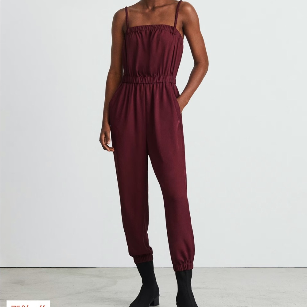Party of One Everlane Jumpsuit